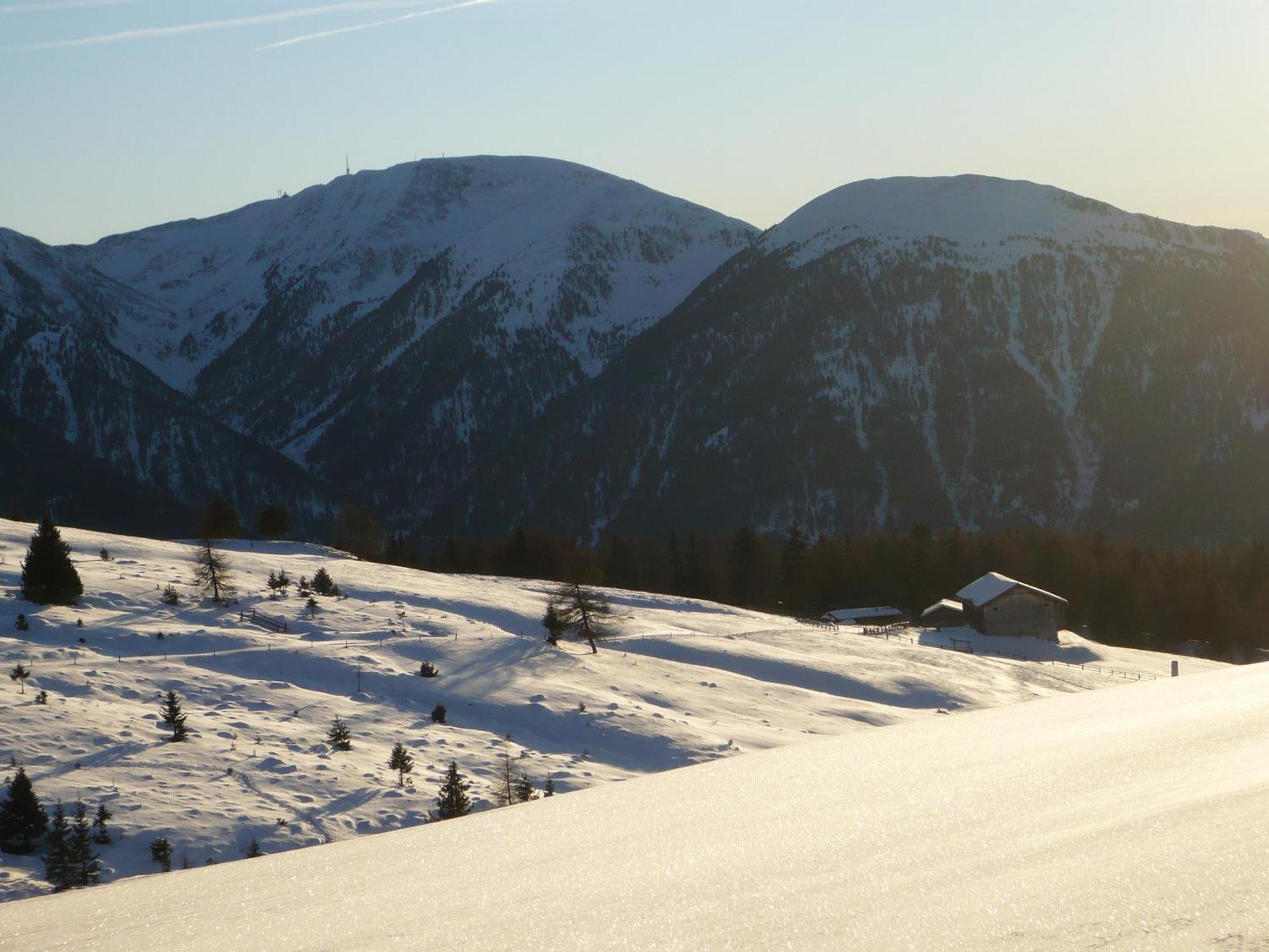 Hotel Alpenrose Rodengo Esterno foto